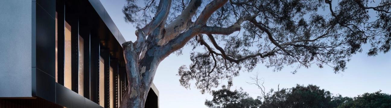 Edmonds Conveyancing