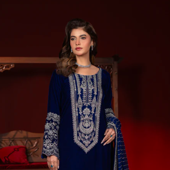 Pakistani Party  Wear Dresses